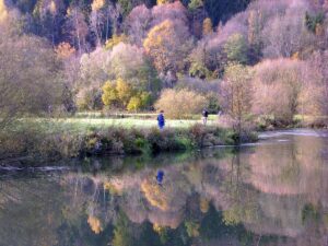 Herbstliche Laubfärbung am Fischwasser