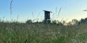 Impressionen aus unserem Jagdrevier