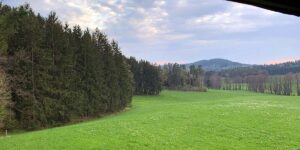 Impressionen aus unserem Jagdrevier